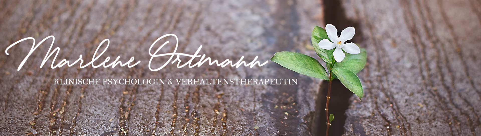 neu-therap-marlene-ortmann-klinische-psychologin-graz-banner2